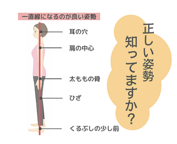 藤井寺市で姿勢調整は当院にお任せください。