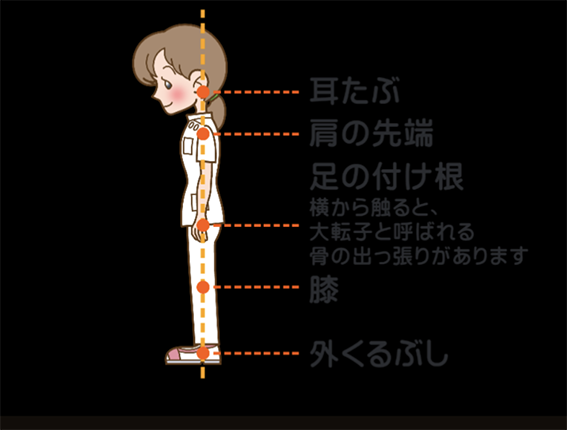 藤井寺市・柏原市・羽曳野市で姿勢を正す整体はなごむ整体院にお任せください