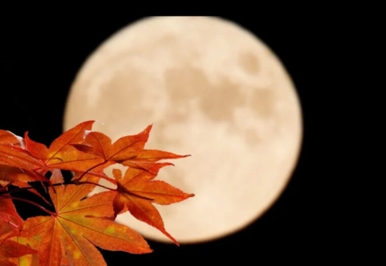 「身体の不調を整える秋の夜長の活用方法」