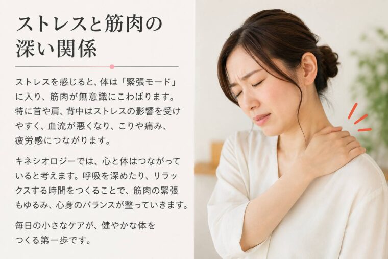 ストレスと筋肉の深い関係